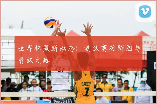 世界杯最新动态：淘汰赛对阵图与晋级之路