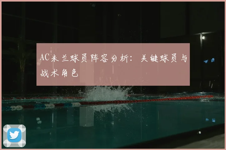 AC米兰球员阵容分析:关键球员与战术角色