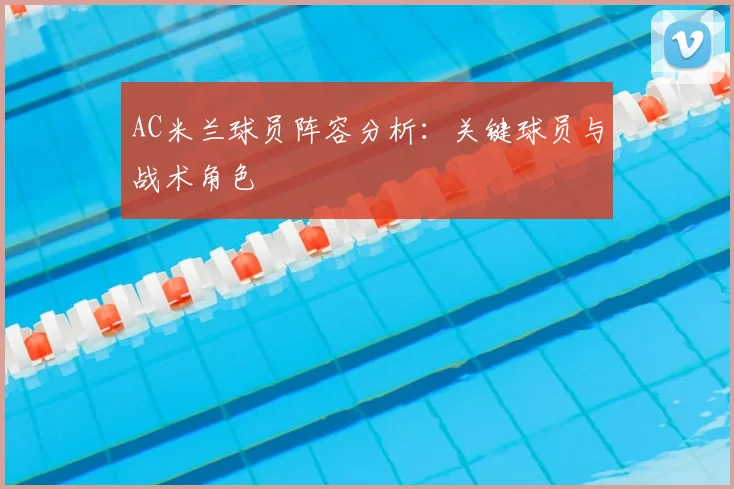 AC米兰球员阵容分析：关键球员与战术角色